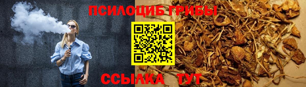 Клин  Галлюциногенные грибы MAGIC MUSHROOMS  Псилоцибиновые грибы Cubensis  Вход с VPN 